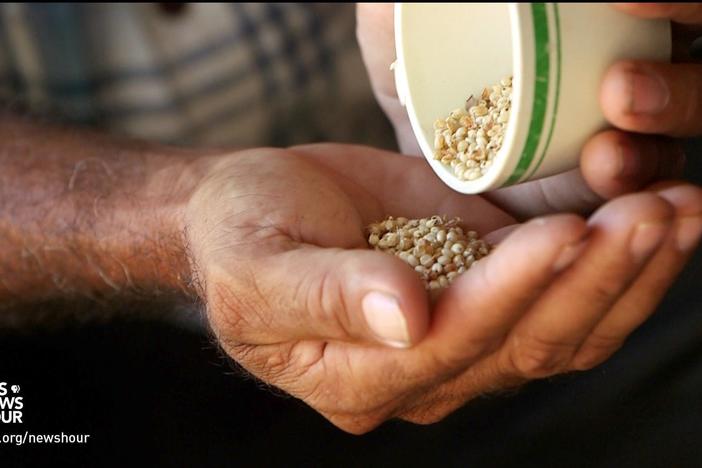 Climate change is killing crops in Honduras -- and driving farmers north