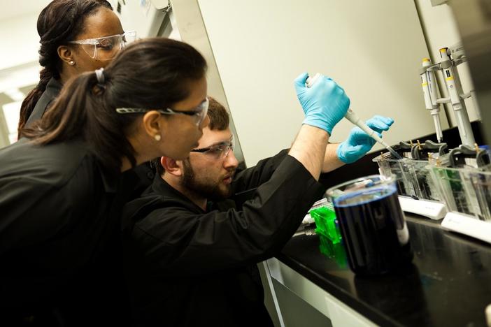This leather substitute is grown in a New Jersey lab