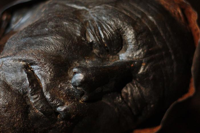 Bronze age bog bodies reveal the strange beliefs of the long-vanished peoples of Europe.