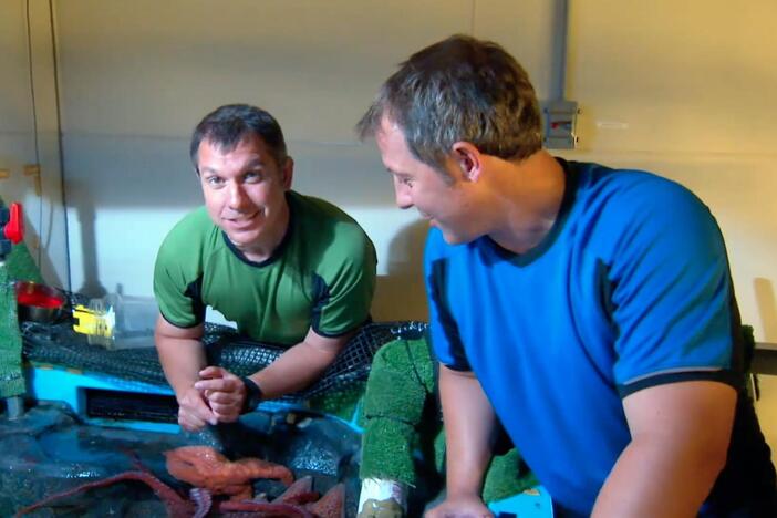 Martin and Chris show how intelligent giant Pacific octopus really are!