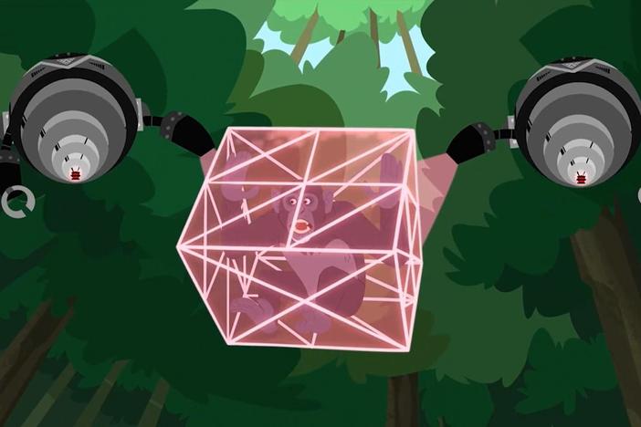 The chimps yell a danger call.