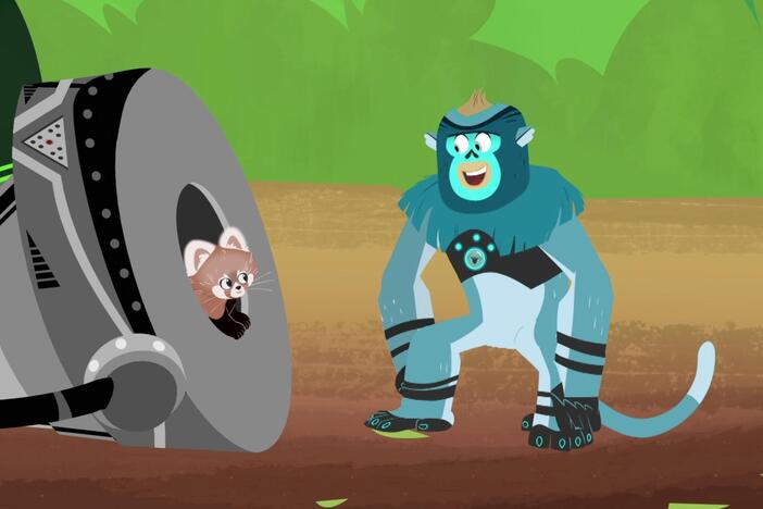 Martin and Chris go on a creature mission to rescue the red panda from Zach.