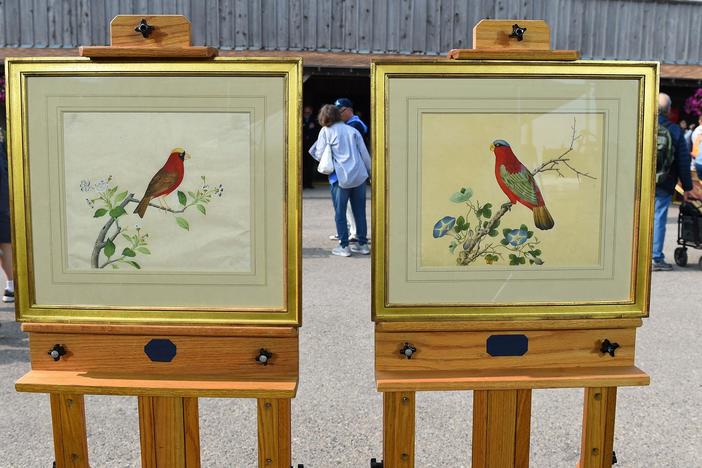 Appraisal: British East India Company School Paintings, ca. 1810