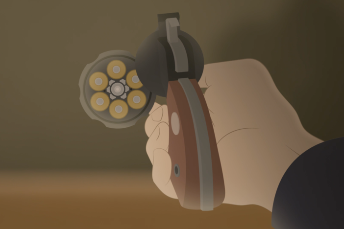 The animated diary behind the 1972 assassination attempt of George Wallace.