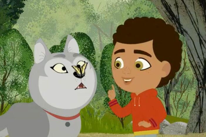 As Rider and Wolfie watch a butterfly on a flower, they wonder how it drinks nectar.