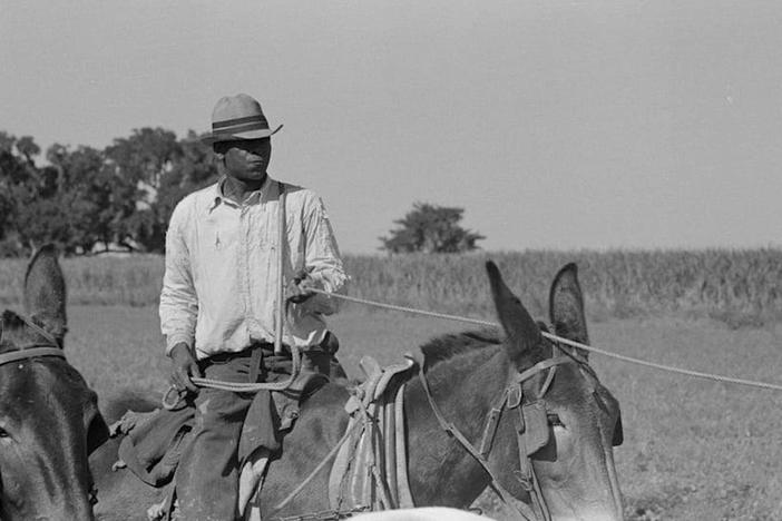 Historically denied 'pivotal' loans, Black farmers still struggle to get support