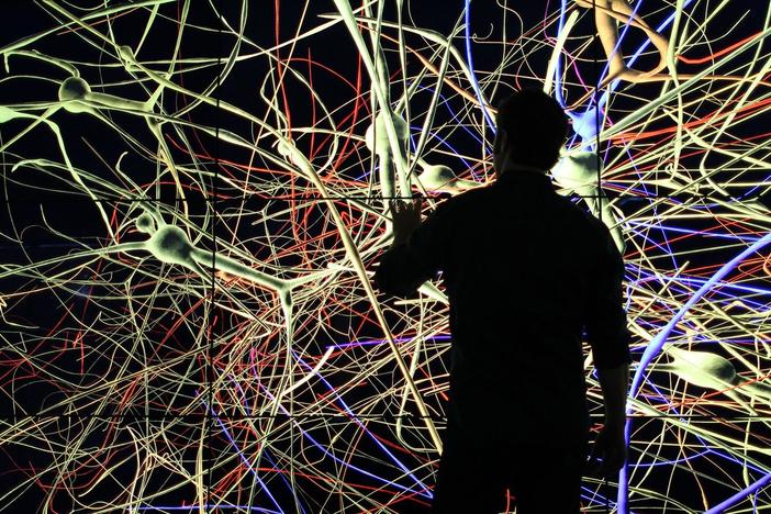 What’s next for the human brain, and for our species?