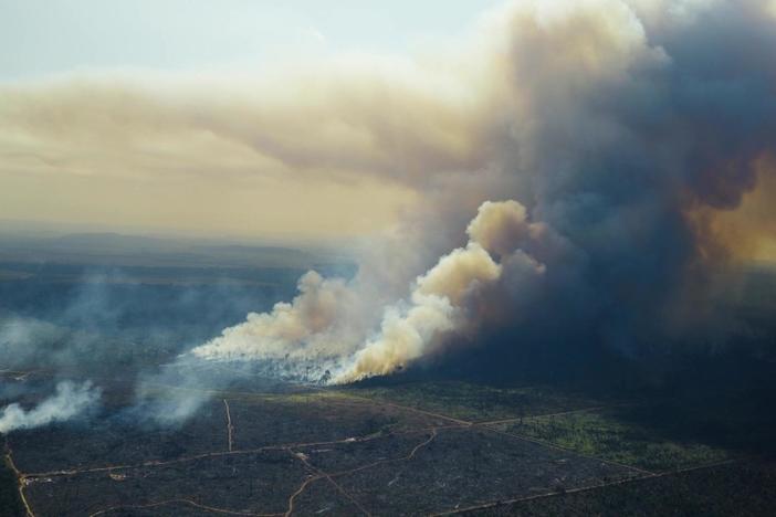 Future of Amazon rainforest at stake in Brazil's presidential election