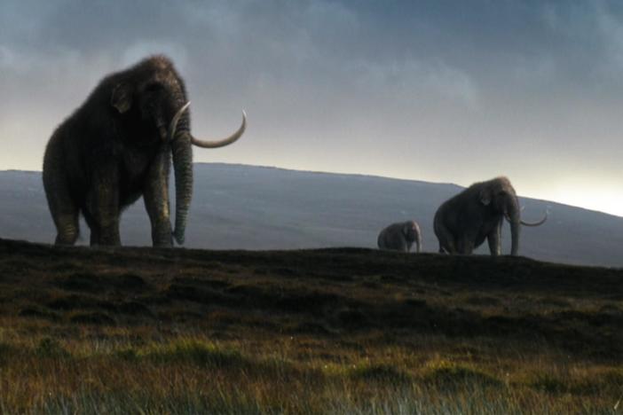 Sir David Attenborough explores a site with traces of ancient mammoths and Neanderthals.