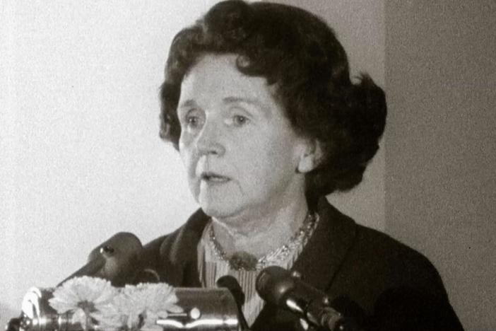 Carson’s book Silent Spring revolutionized our relationship to the natural world.