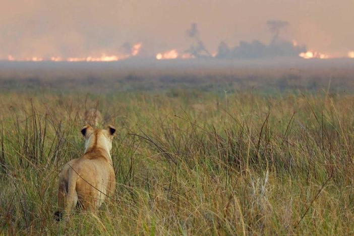 The situation becomes critical as wildfires sweep across the Delta, straight toward the team's camp.