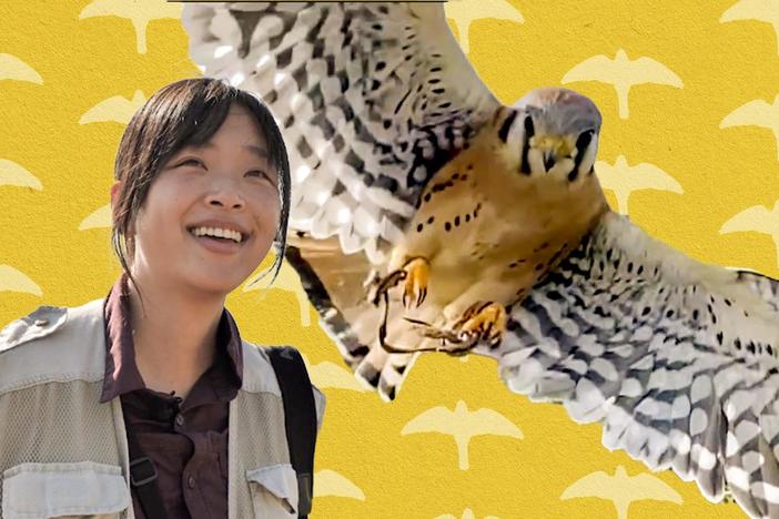 Baratunde meets a falconer who believes that humans and animals can coexist together.