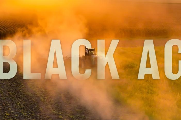 A Black scientist in Arkansas guides farmers through agricultural challenges.