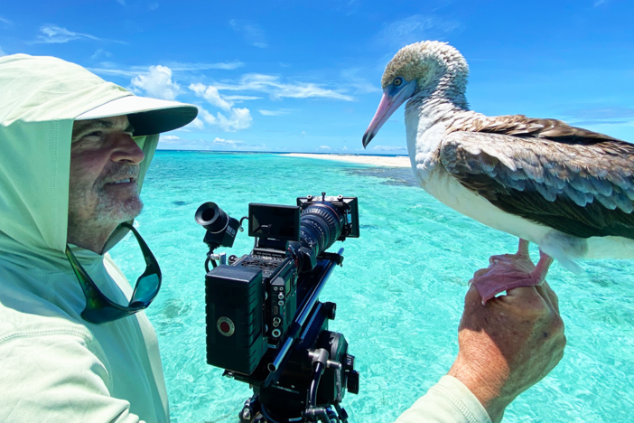 Dive behind the scenes of "Sharks of Hawaii."