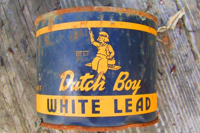 How does lead poisoning damage the brain—and can we stop it?
