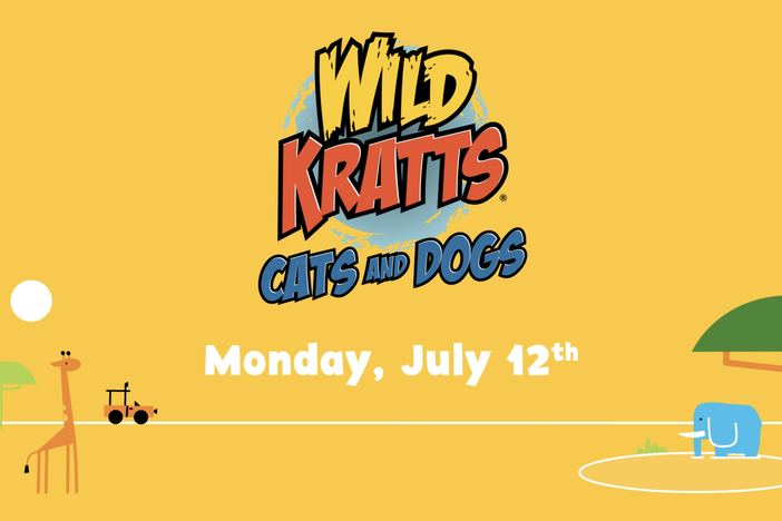 A new Wild Kratts movie premieres on July 12th.
