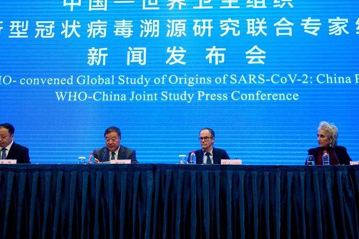 WHO report says COVID originated in bats, but critics claim the study was biased