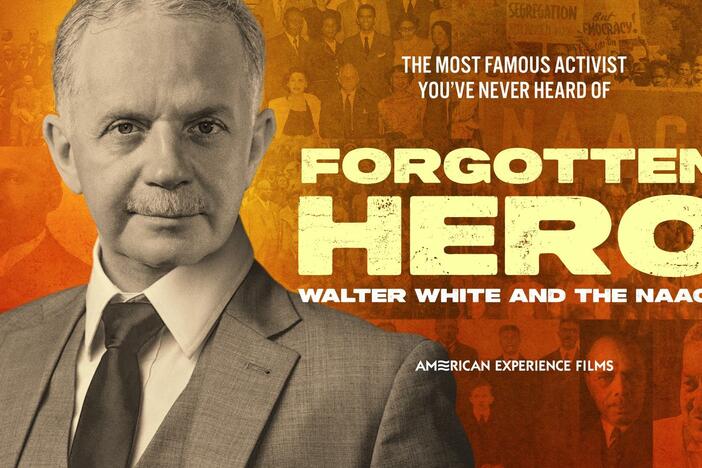 The story of one of the most influential yet forgotten civil rights figures, Walter White.