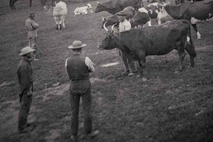 Kathryn Hahn wonders if her 3rd great-grandfather regretted leaving his wife in Germany.