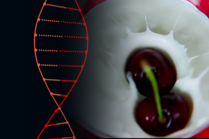 Five years before anybody was talking about CRISPR, Danisco had a breakthrough.