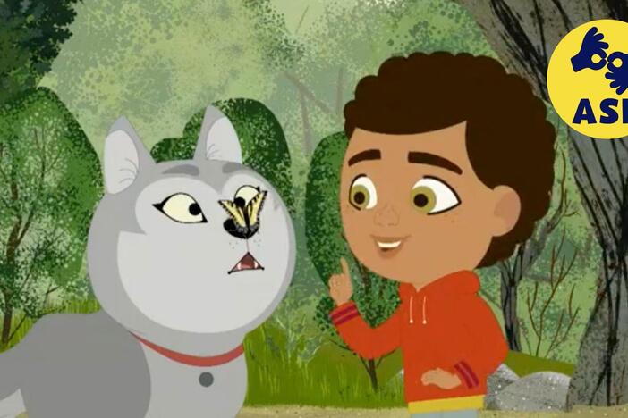 As Rider and Wolfie watch a butterfly on a flower, they wonder how it drinks nectar.