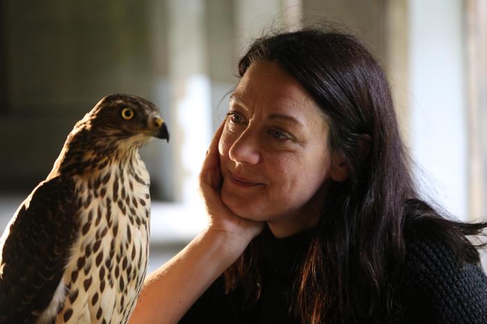 Author Helen Macdonald returns to training a goshawk, a decade after her first one.