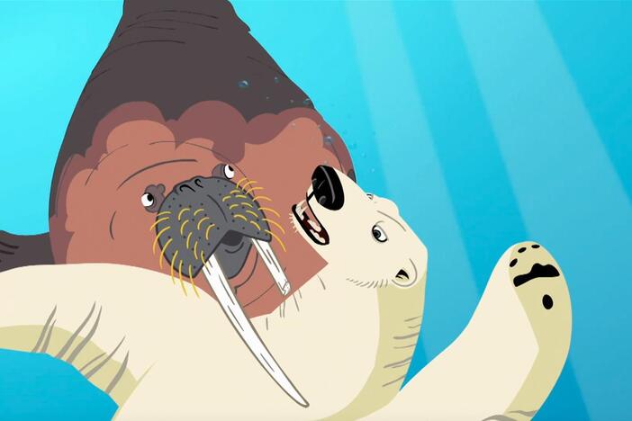 A polar bear and walrus square off in battle!