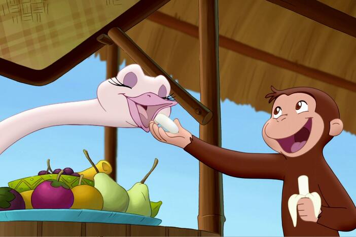 The scientist realizes that George is the astronaut monkey from the project Stop Flooding.