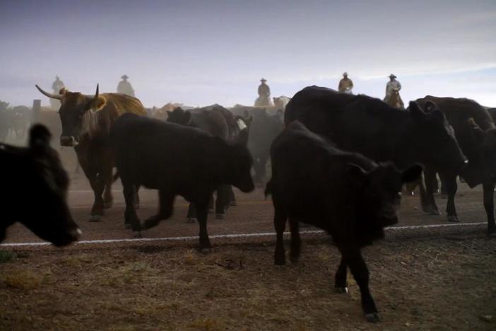 Hanna Ranch is the story of visionary Kirk Hanna dream's of harmony and sustainability.