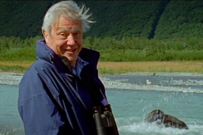 For 60 years, one man devoted his life to understanding and documenting the natural world.