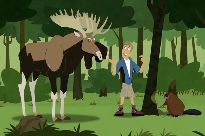 Martin's bark sandwich is eaten by a hungry moose.