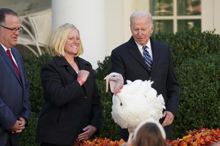A history of how lucky turkeys came to earn presidential pardons