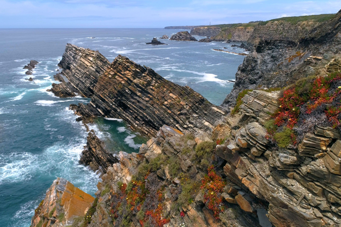 Discover the wildlife and landscapes of Portugal, from its forests to coasts.