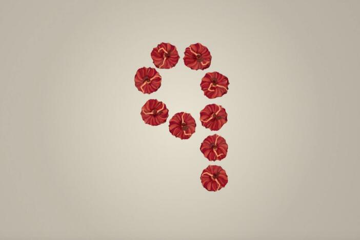 Spanish dancers form the number 9.