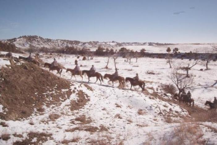 A composite shot from the Black Hills Wild Horse Sanctuary in Hot Springs, SD.