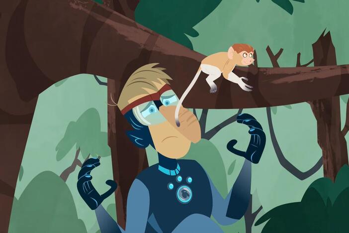 Martin calls for help from other proboscis monkeys using his creature power suit.