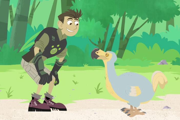 The Kratts' dodo bird investigation goes awry when a chef turns up in search of a snack!