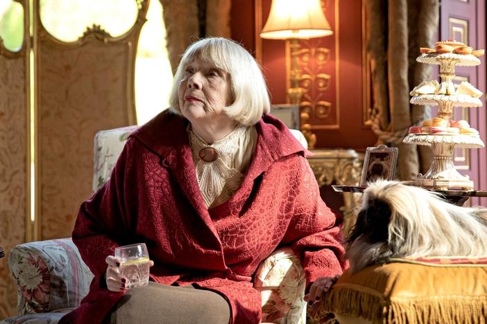 Siegfried’s brother, Tristan, arrives to help out. Mrs. Pumphrey throws a swanky party.