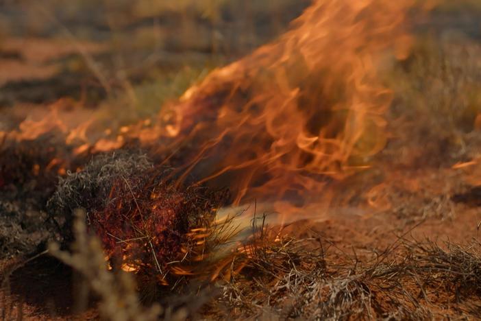 Sanjayan starts controlled wildfires under the watchful eye of Kiwirrkurra Rangers.