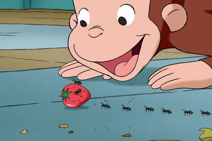 When George spills his breakfast on the floor, an army of ants comes to eat up the scraps!
