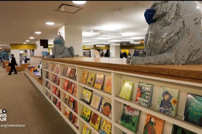 Nationwide effort to ban books challenges freedom of speech