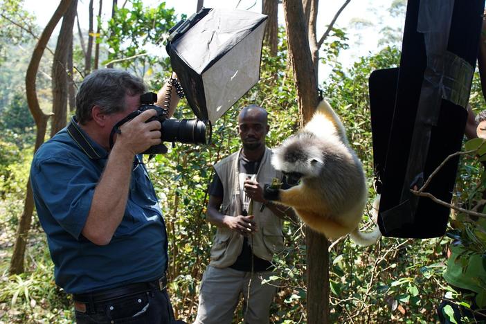 Journey around the world with Joel Sartore to photograph the world's rarest species.