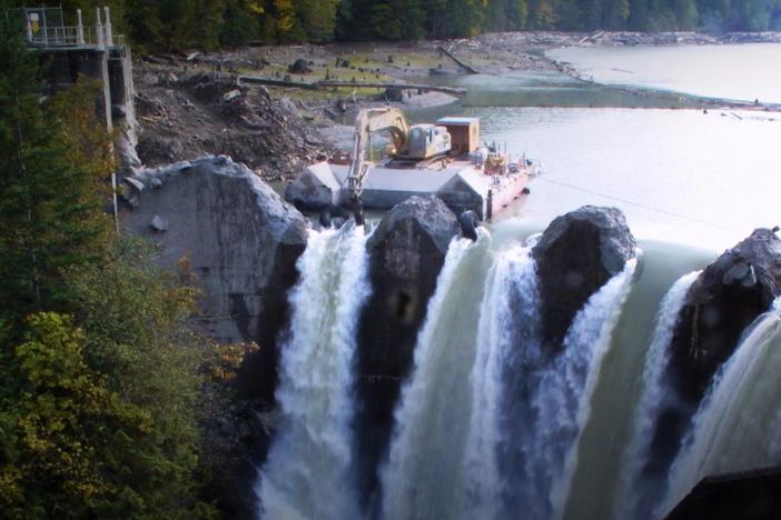 Ten years after a massive dam removal, salmon are returning to the Elwha River.