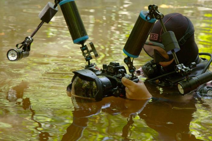 Meet Katy Fraser, an underwater camera operator.