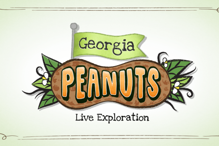 Explore Georgia's official state crop and learn about the peanut industry.