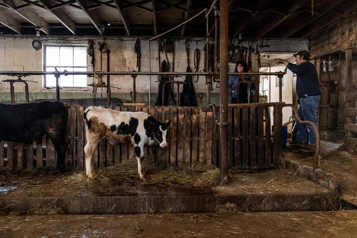 How Trump’s trade wars are affecting American farmers