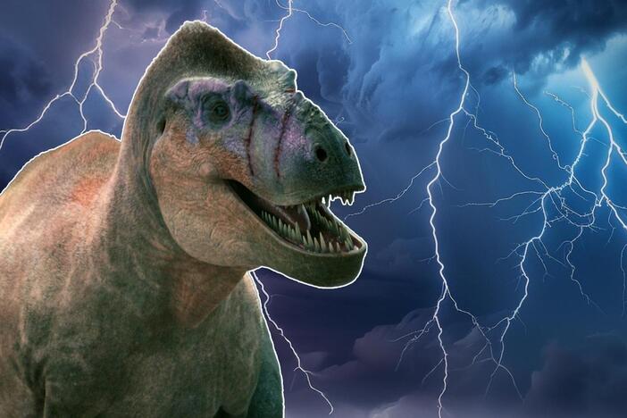 Imagine finding a rare fossil that you’ve been desperate to find - only for it to be put at risk.