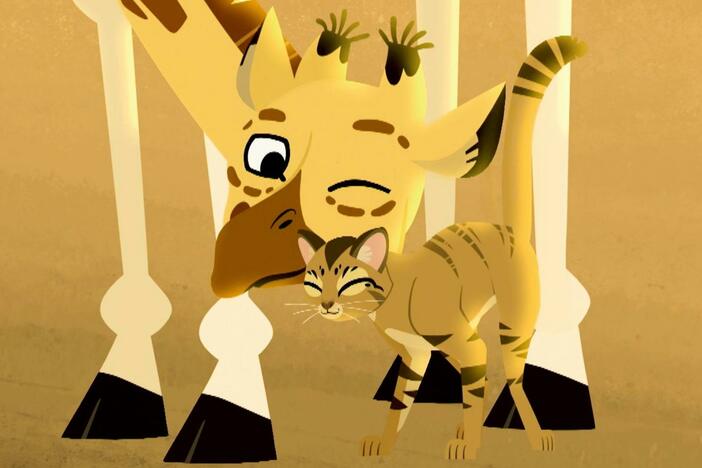 The bros head out exploring the Savannah, where they meet-up with a kitty.