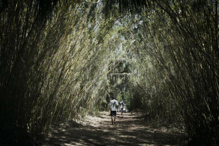 Off the Georgia coast, two brothers grow up in an enclave of the Saltwater Geechee people.