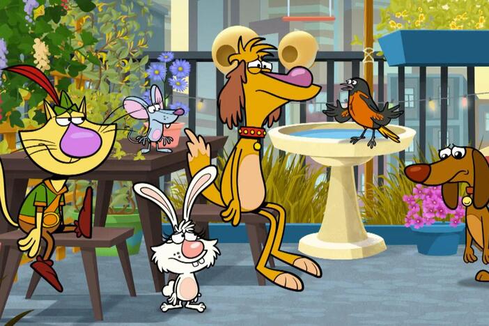 Brooks the bird flies into a window. / The gang wishes away all the wolves.